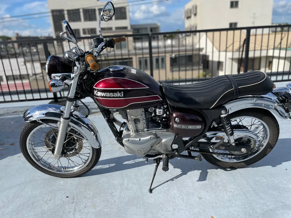 Kawasaki Estrella, light brown / red, фото 16