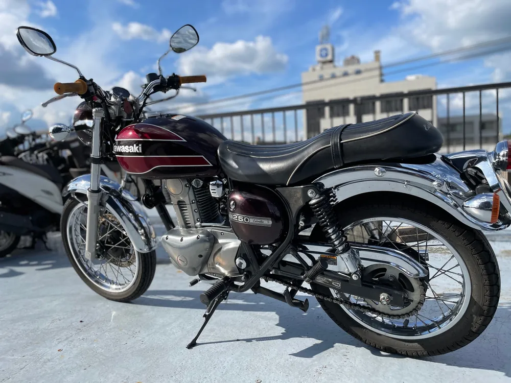 Kawasaki Estrella, light brown / red, фото 4