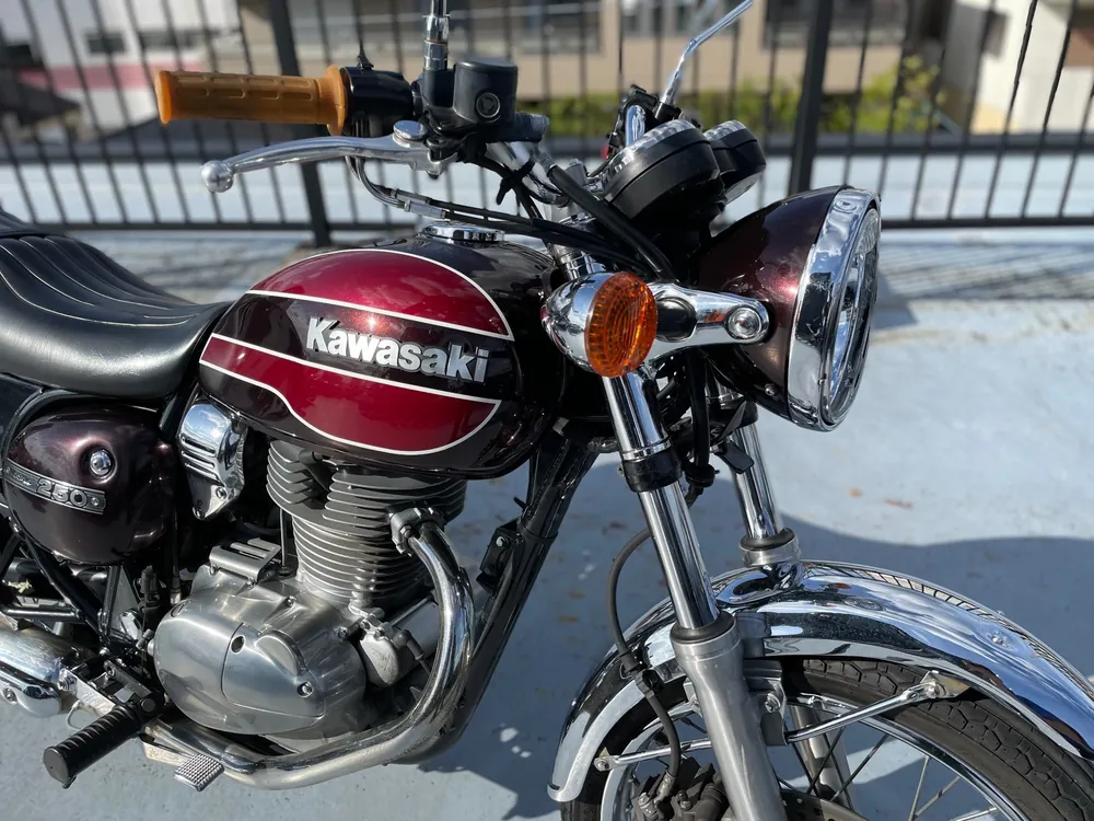 Kawasaki Estrella, light brown / red, фото 10