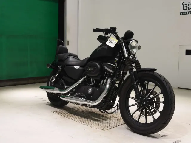 Harley-Davidson XL883N 2013, matt black, фото 3