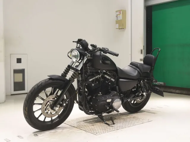 Harley-Davidson XL883N 2013, matt black, фото 4