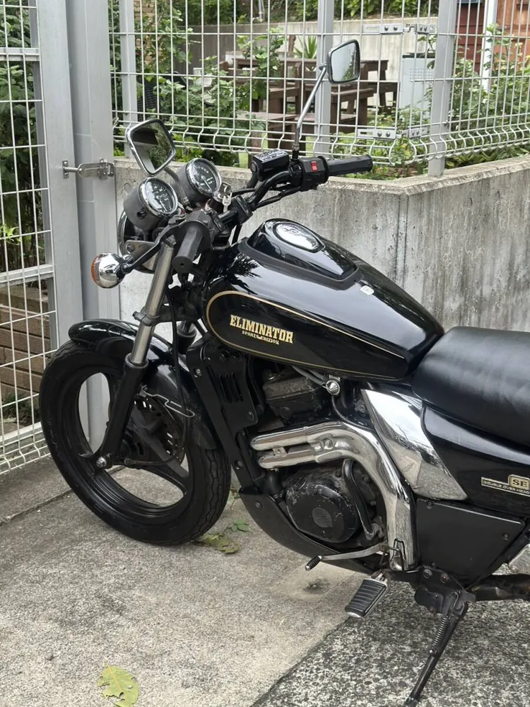 Kawasaki Eliminator 250SE 1995, фото 8