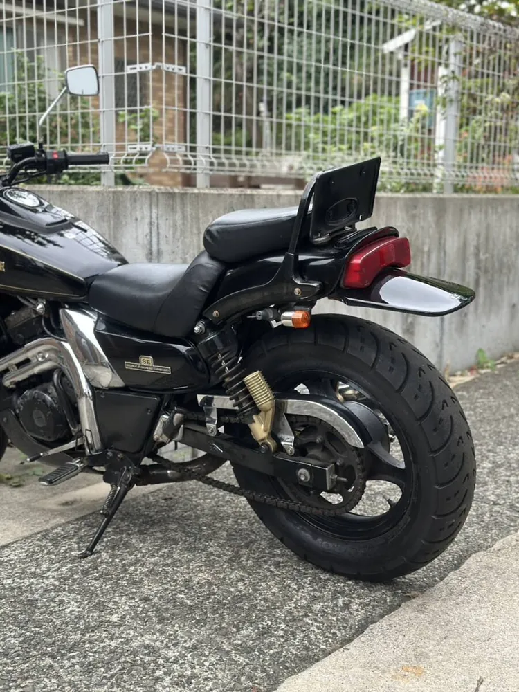 Kawasaki Eliminator 250SE 1995, фото 10