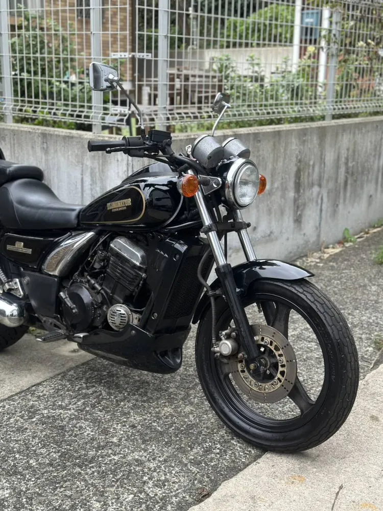 Kawasaki Eliminator 250SE 1995, фото 3