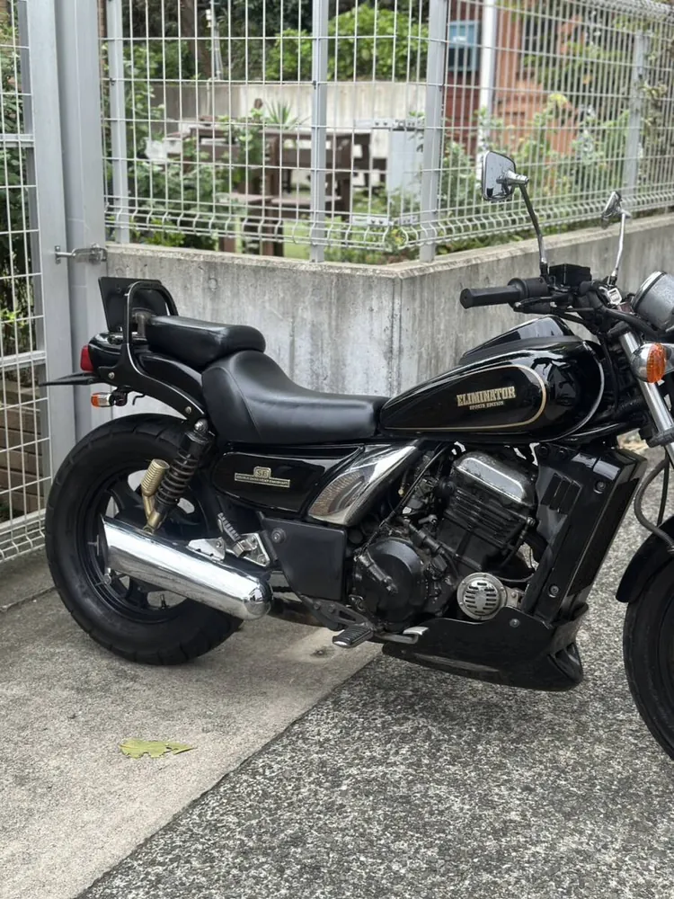 Kawasaki Eliminator 250SE 1995, фото 4