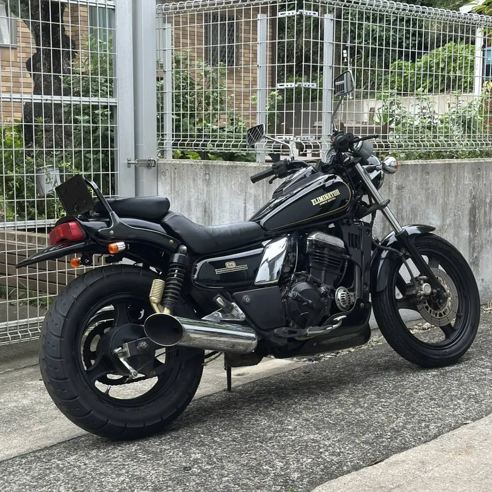 Kawasaki Eliminator 250SE 1995, фото 5