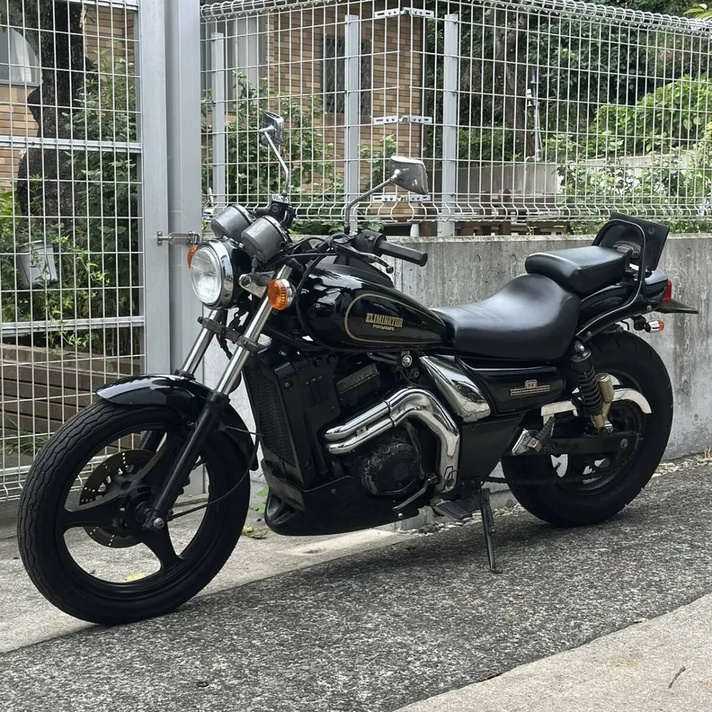 Kawasaki Eliminator 250SE 1995, фото 6
