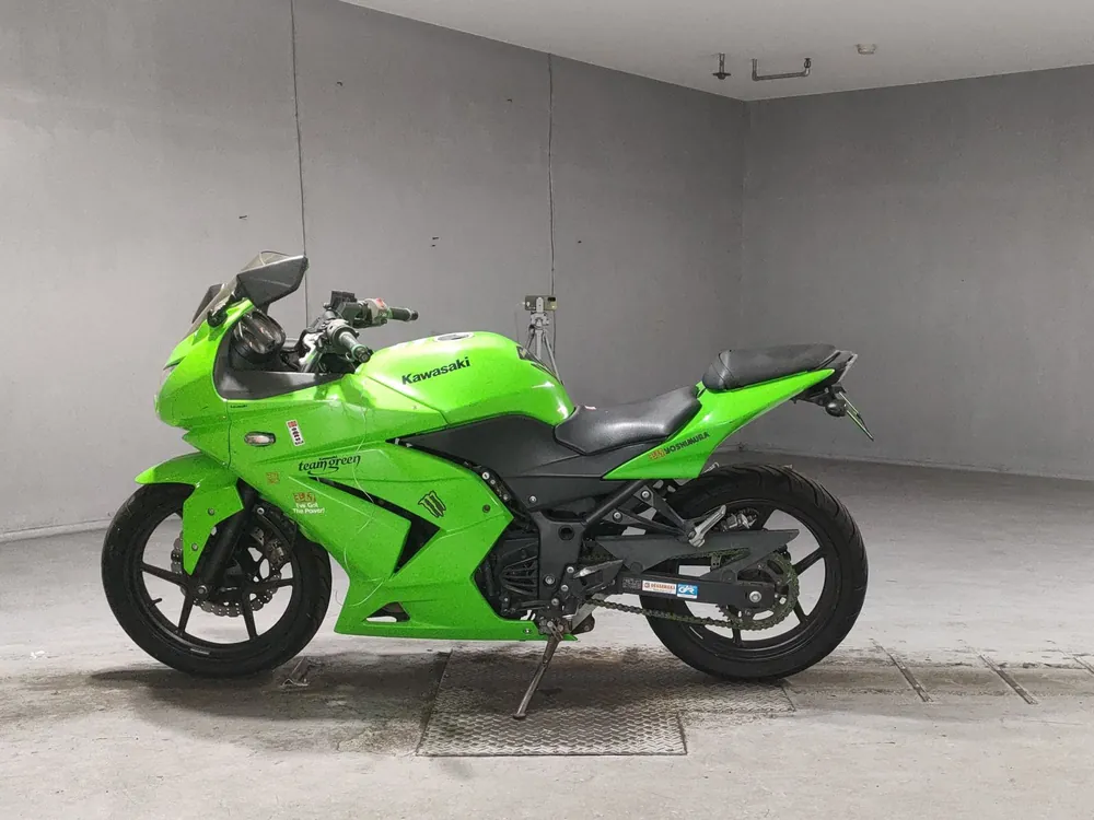 Kawasaki Ninja 250SL, зелёный, фото 2