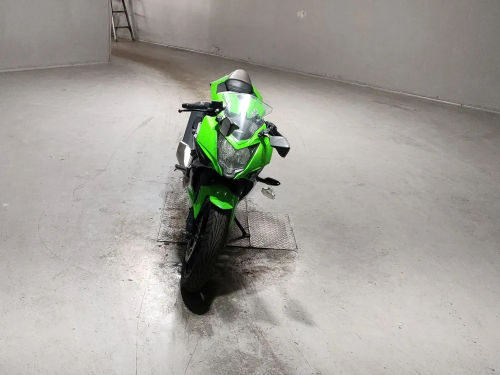 Kawasaki Ninja 250SL, black / green, фото 3