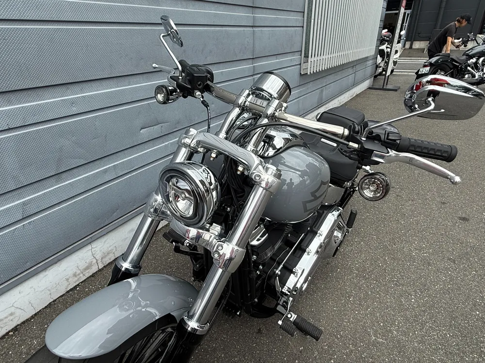 Harley-Davidson FXBR 2026, серый, фото 2