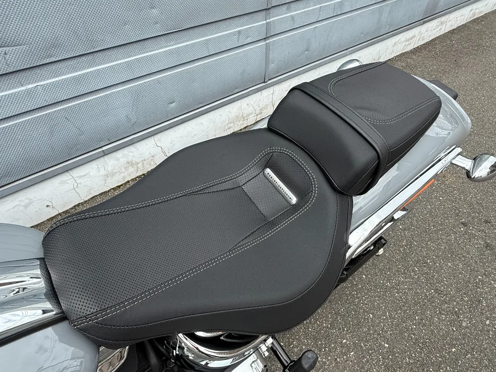 Harley-Davidson FXBR 2026, серый, фото 20