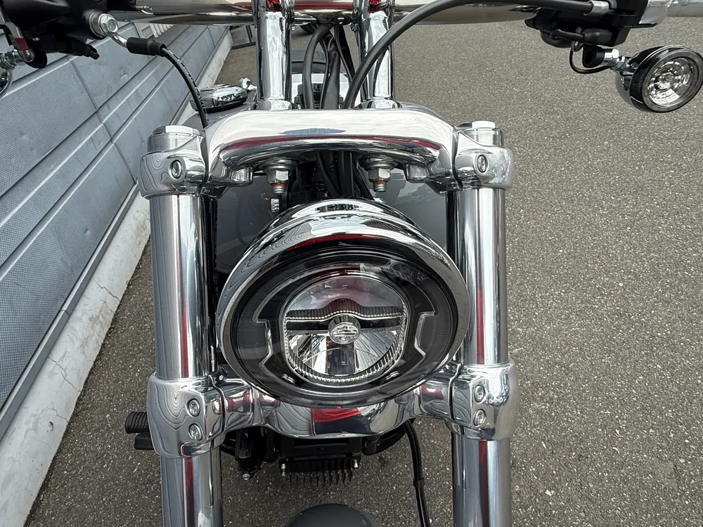 Harley-Davidson FXBR 2026, серый, фото 3