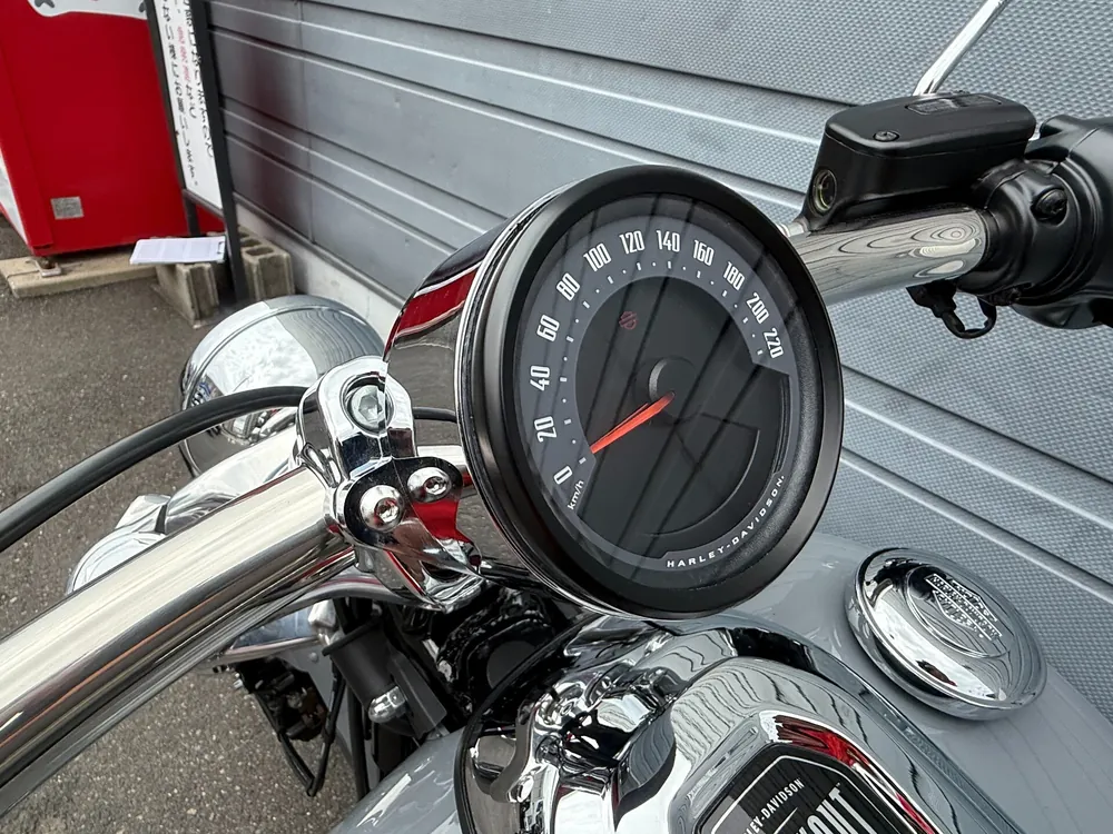 Harley-Davidson FXBR 2026, серый, фото 4