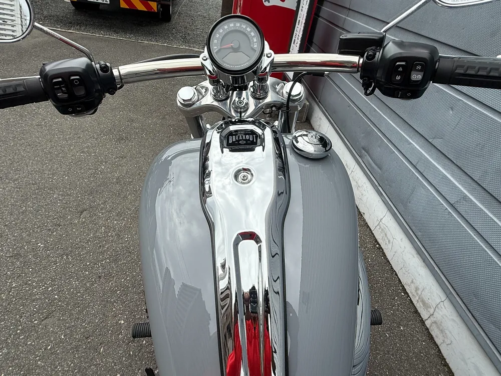Harley-Davidson FXBR 2026, серый, фото 6