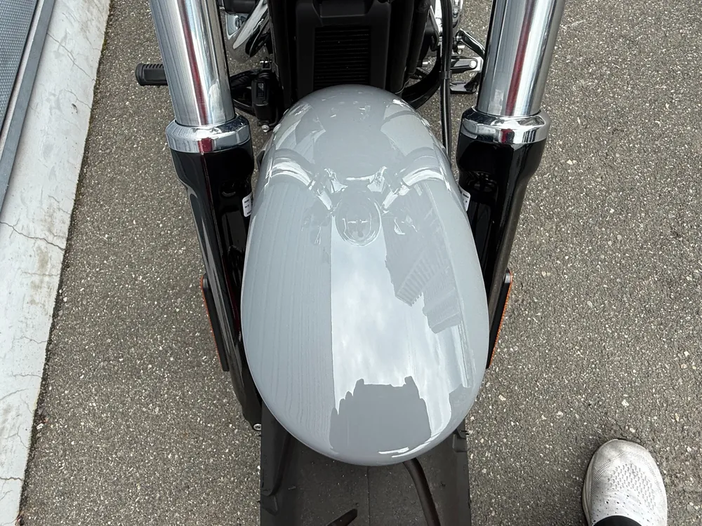 Harley-Davidson FXBR 2026, серый, фото 8