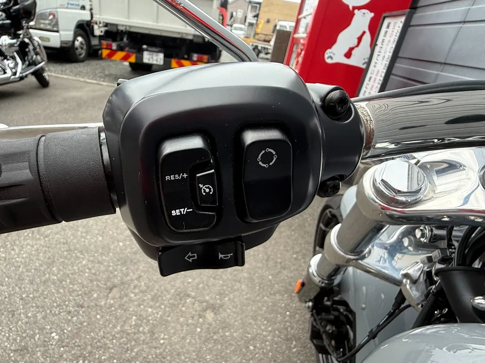 Harley-Davidson FXBR 2026, серый, фото 9