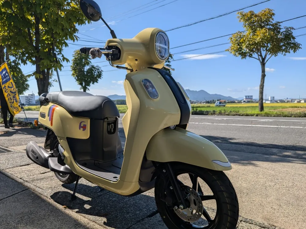 BMW R1250Gs, жёлтый, фото 2