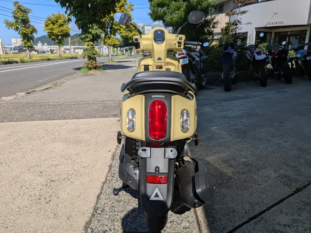 BMW R1250Gs, жёлтый, фото 7