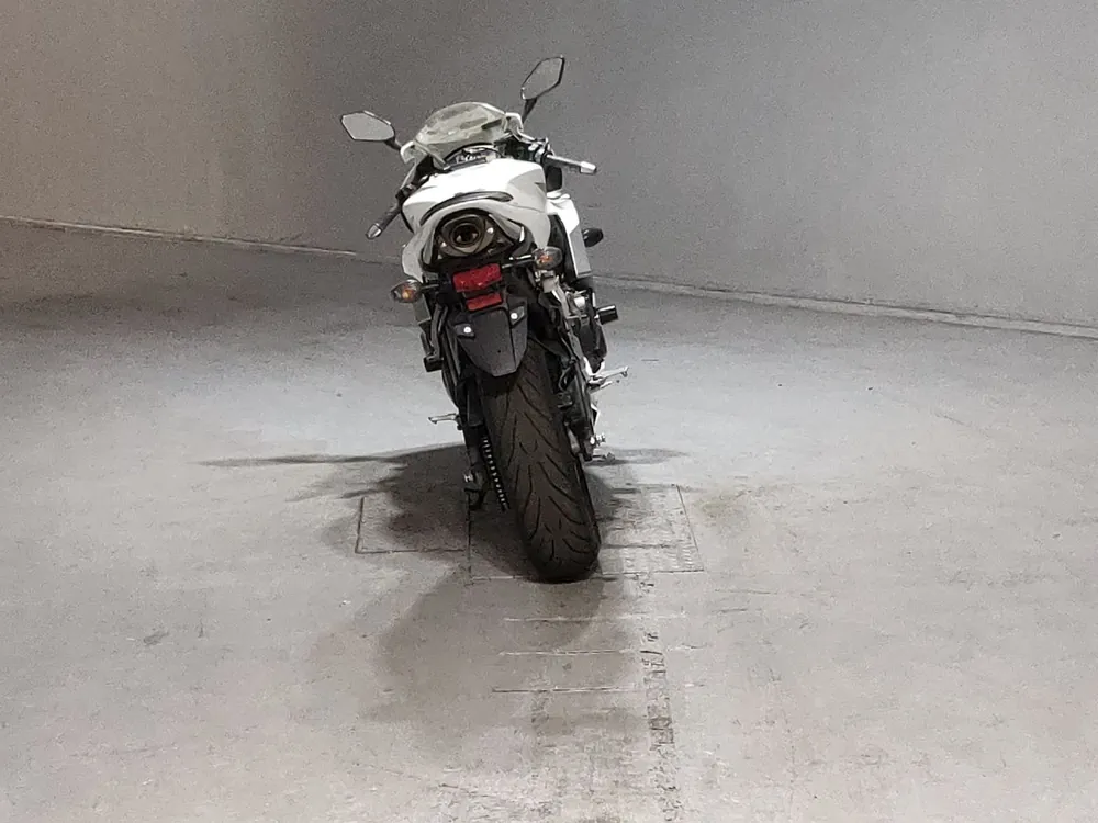 Honda CBR600RR 2007, white/silver, фото 4