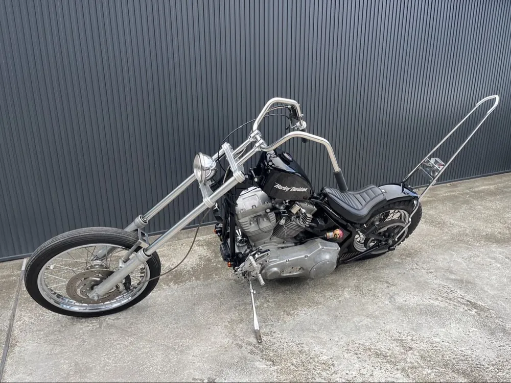 Harley-Davidson FXST 2001, фото 8
