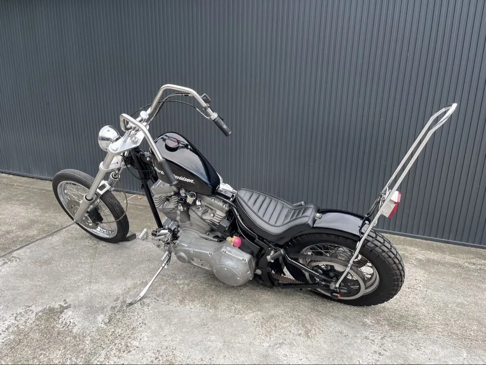 Harley-Davidson FXST 2001, фото 9