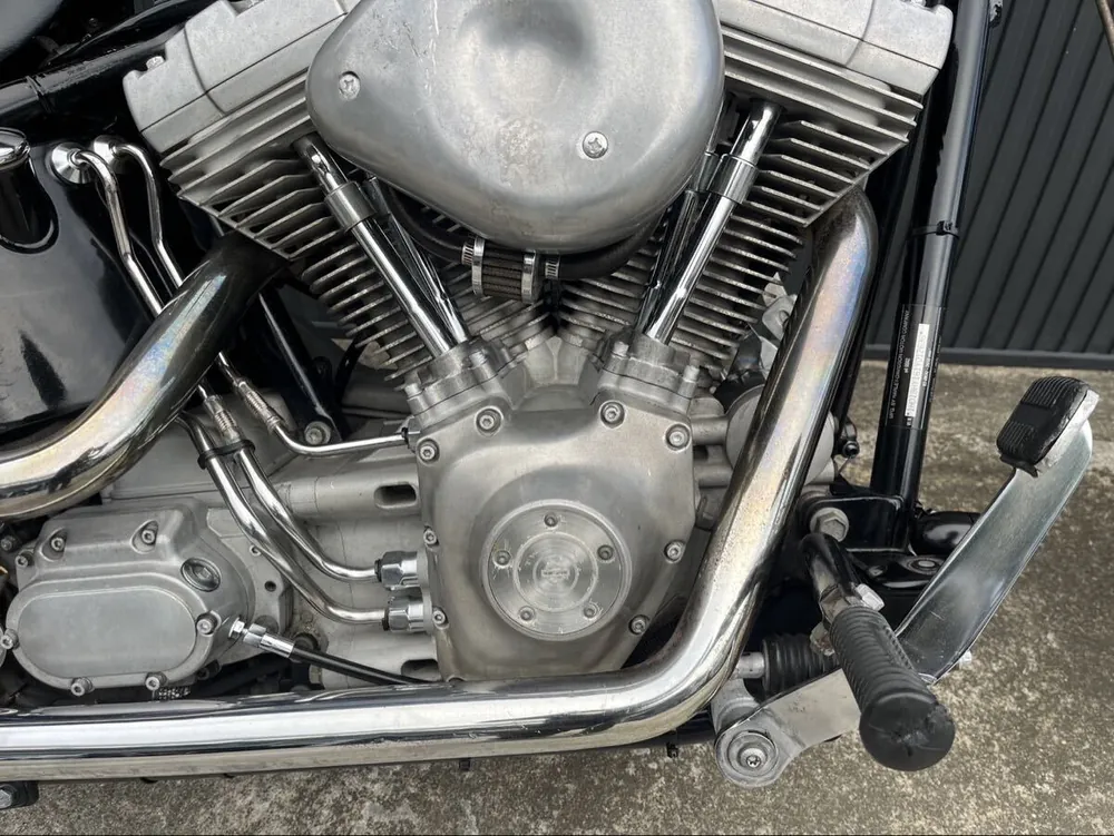 Harley-Davidson FXST 2001, фото 3