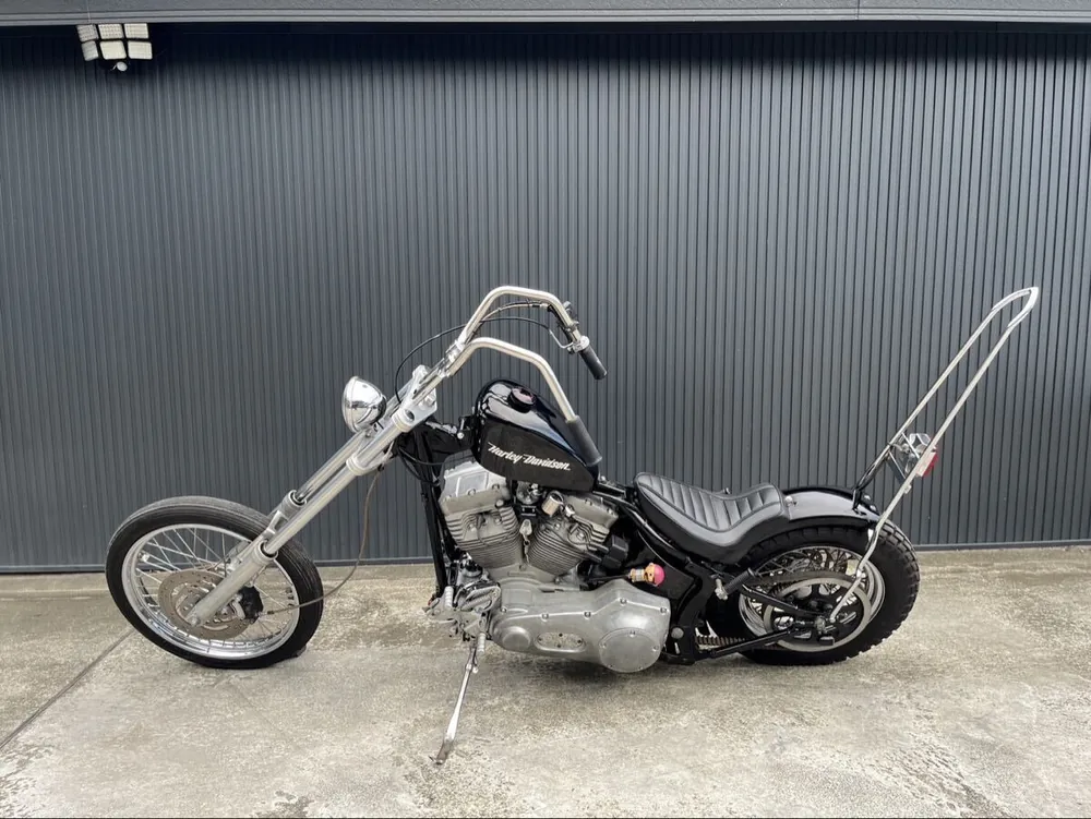 Harley-Davidson FXST 2001, фото 4