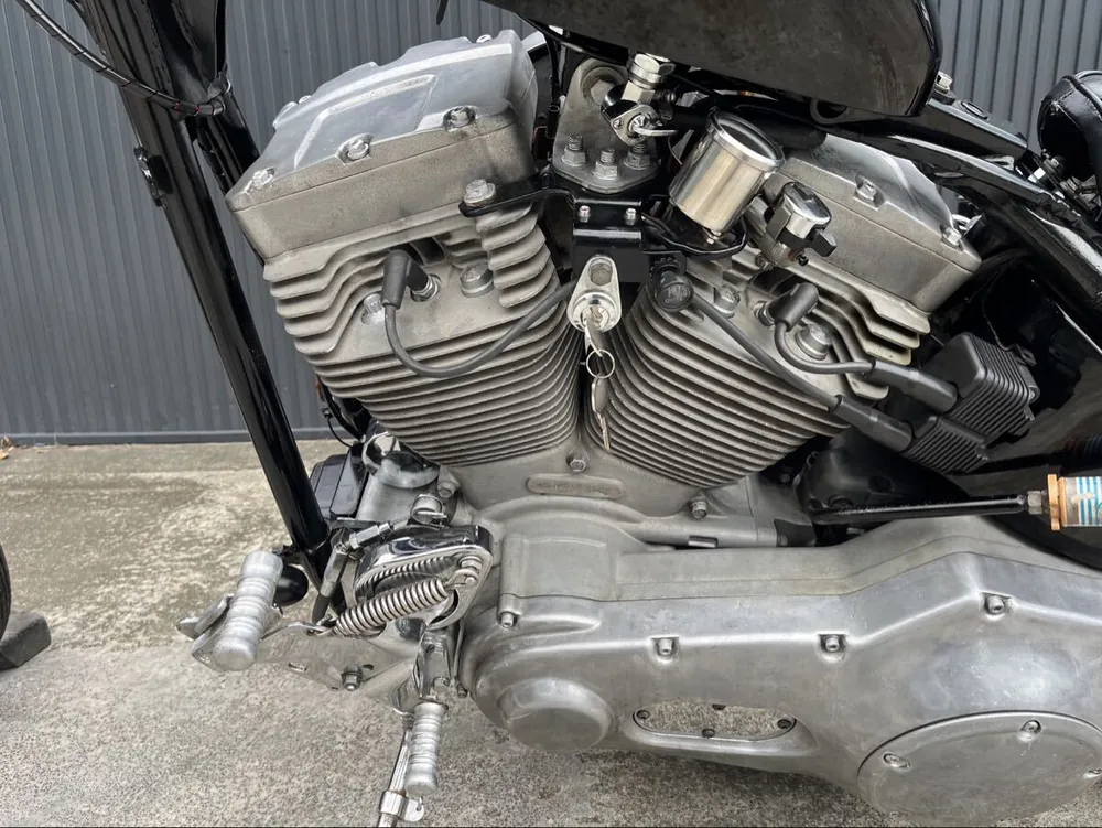 Harley-Davidson FXST 2001, фото 5