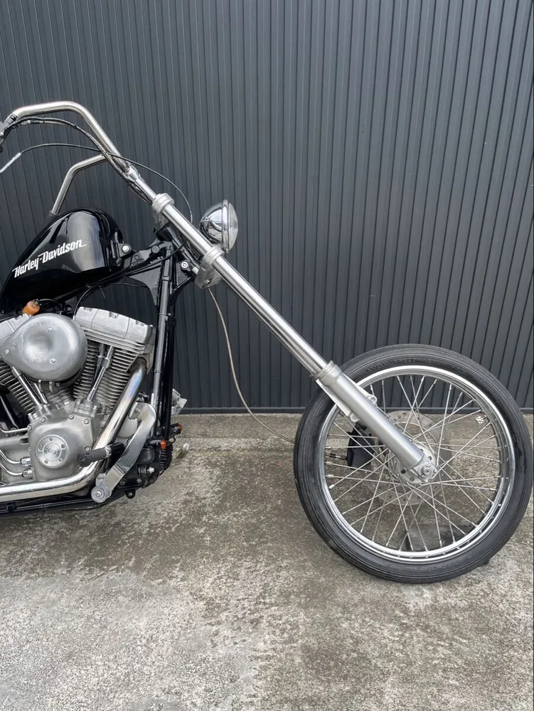 Harley-Davidson FXST 2001, фото 7