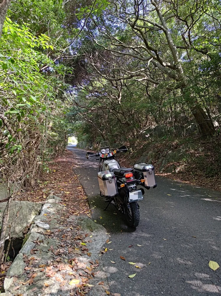 Royal Enfield Himalayan 411 2021, фото 6
