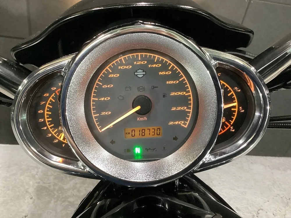 Harley-Davidson VRSCD 2008, фото 10