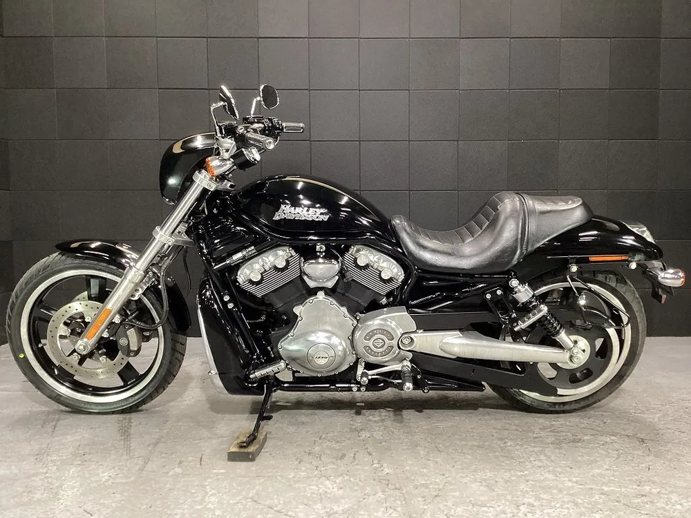 Harley-Davidson VRSCD 2008, фото 3