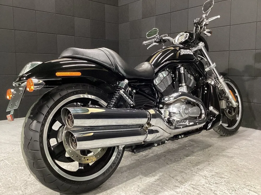 Harley-Davidson VRSCD 2008, фото 6