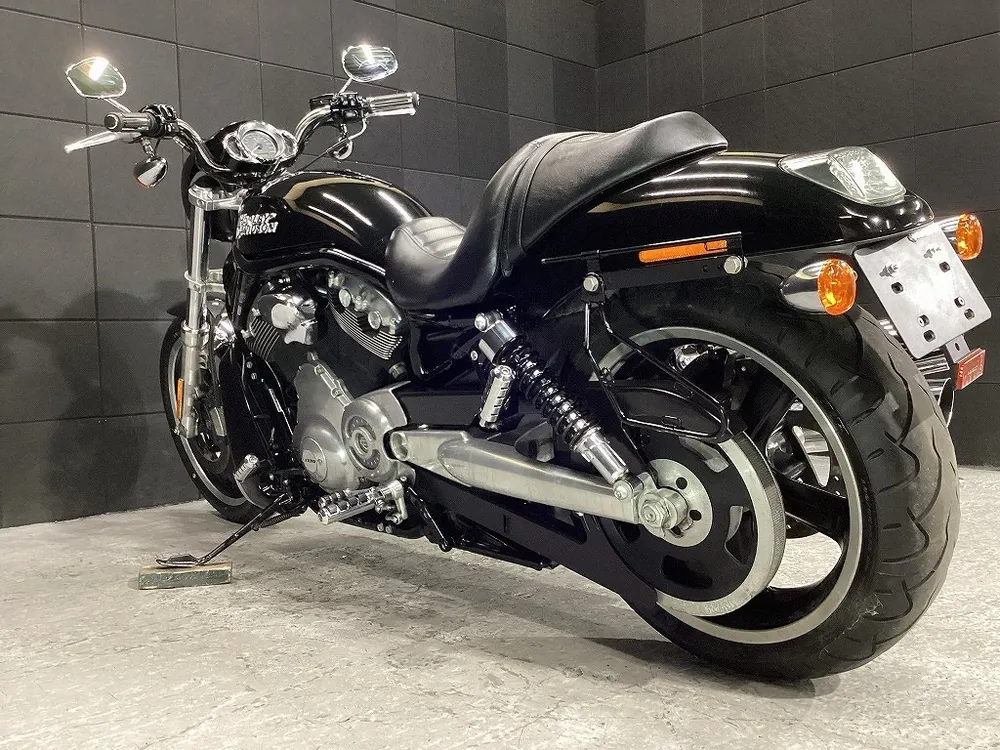 Harley-Davidson VRSCD 2008, фото 7