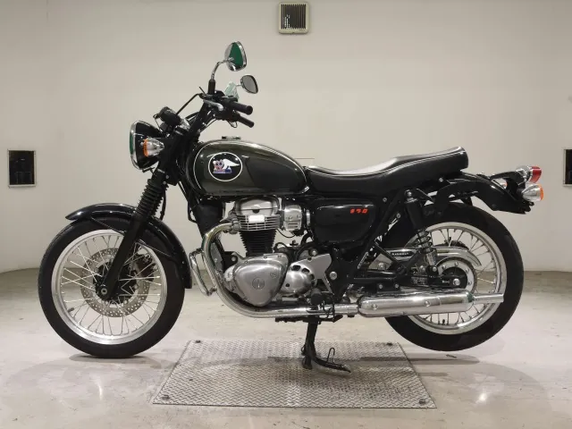 Kawasaki W800-2 2021, plating, фото 2
