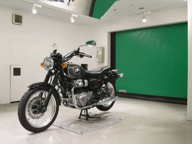 Kawasaki W800-2 2021, plating, фото 4