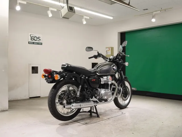 Kawasaki W800-2 2021, plating, фото 5