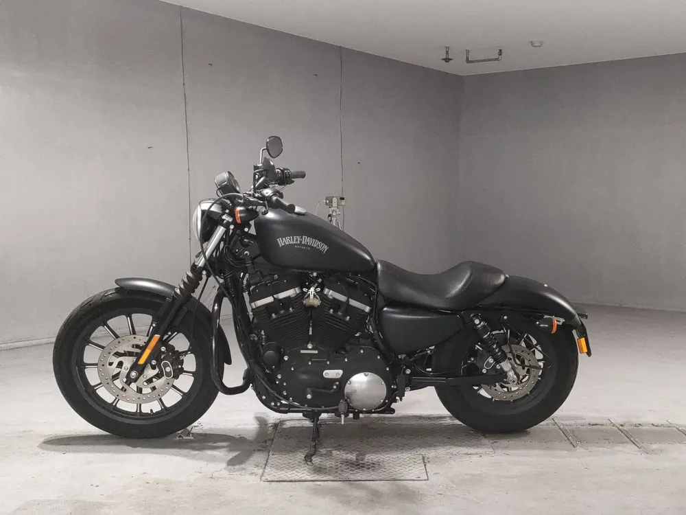 Harley-Davidson XL883N 2013, чёрный, фото 2