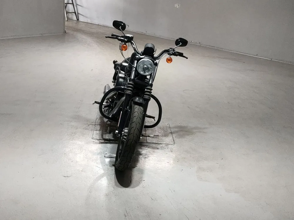 Harley-Davidson XL883N 2013, чёрный, фото 3