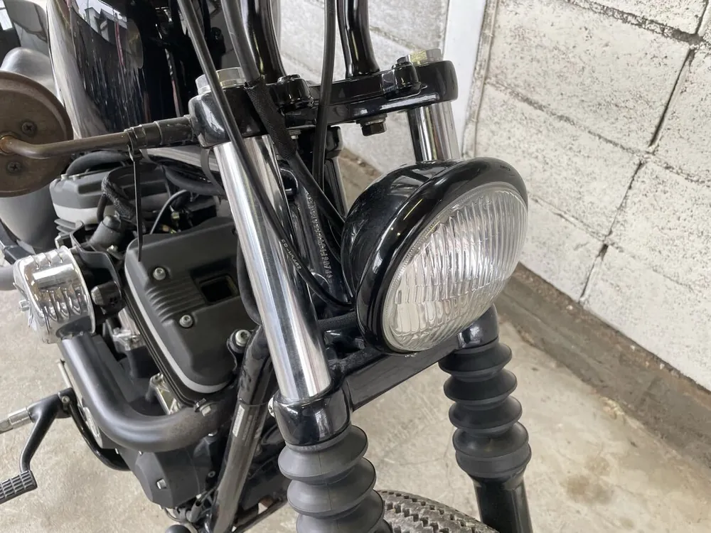 Harley-Davidson Sportster XL883N Iron 2010, фото 9