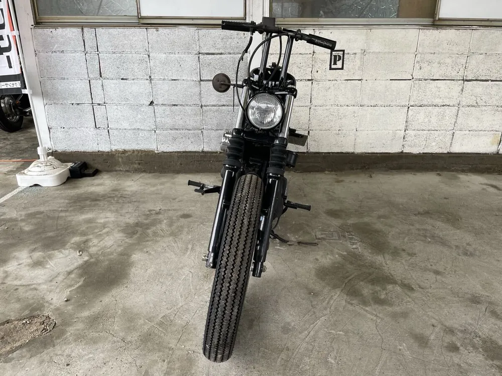 Harley-Davidson Sportster XL883N Iron 2010, фото 10