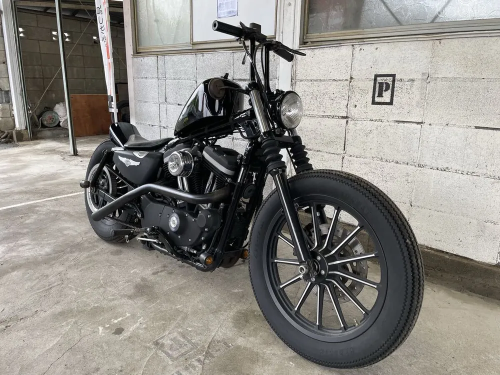 Harley-Davidson Sportster XL883N Iron 2010, фото 3
