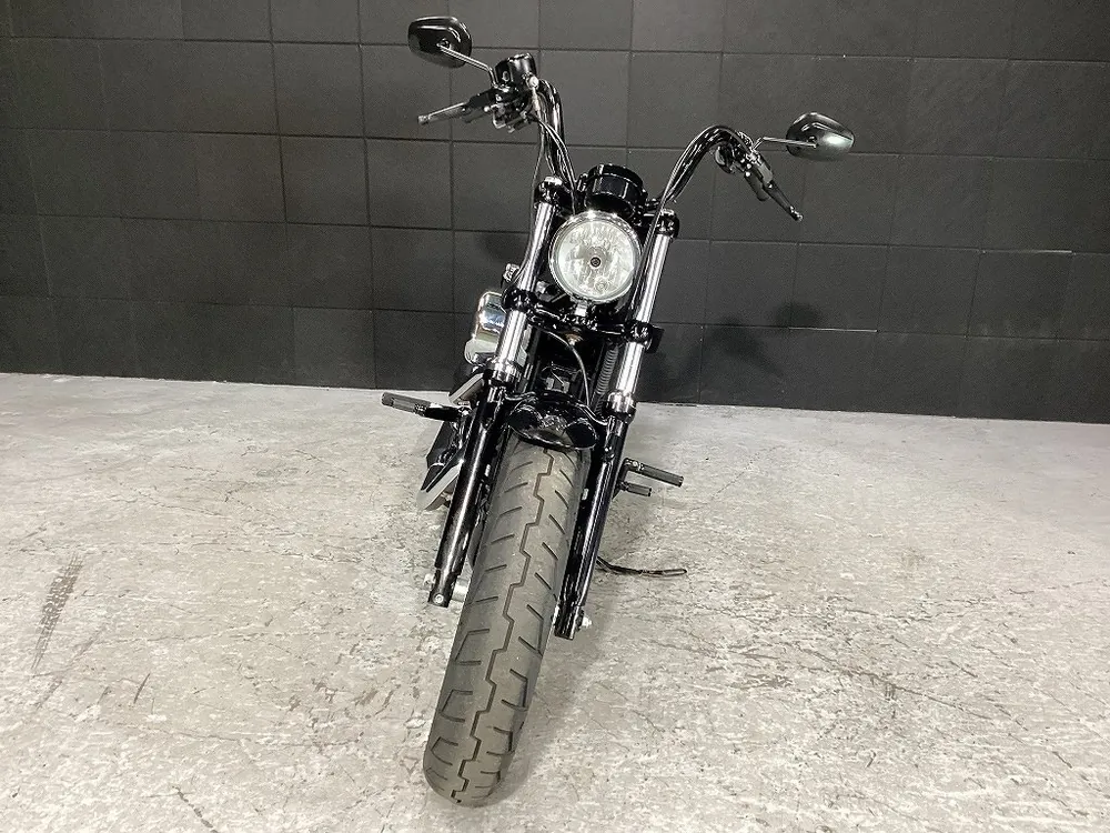 Harley-Davidson XL1200X Forty-Eight 2014, фото 8