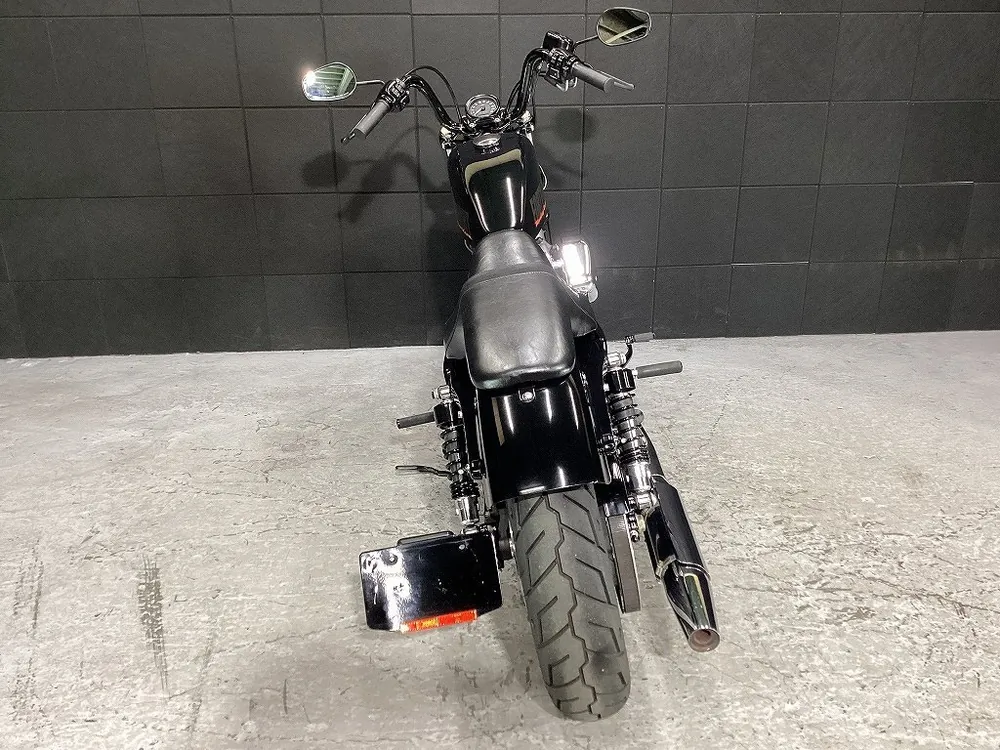 Harley-Davidson XL1200X Forty-Eight 2014, фото 9