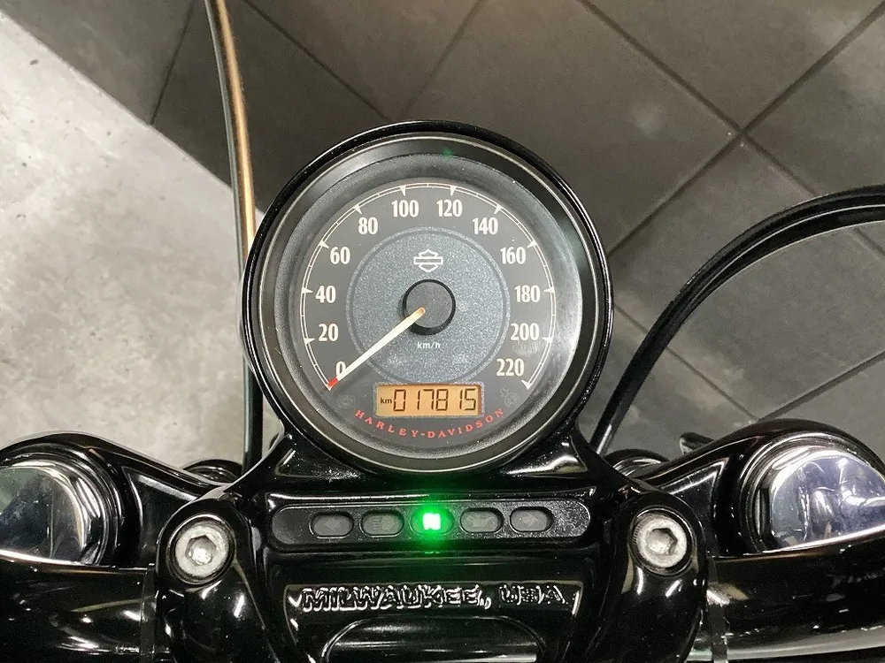Harley-Davidson XL1200X Forty-Eight 2014, фото 10