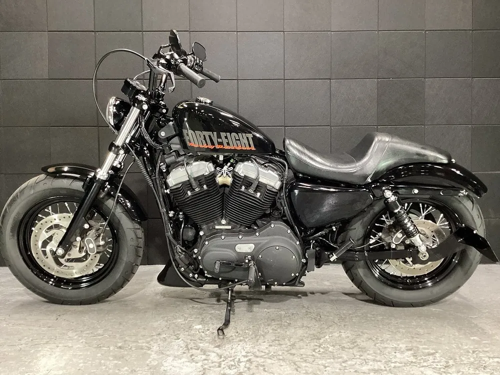 Harley-Davidson XL1200X Forty-Eight 2014, фото 3
