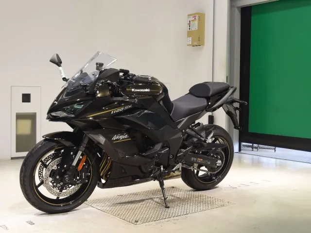 Kawasaki Ninja 1100SX 2026, чёрный, фото 4
