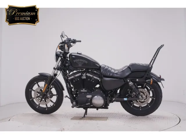 Harley-Davidson XL883N 2016, matt black, фото 2