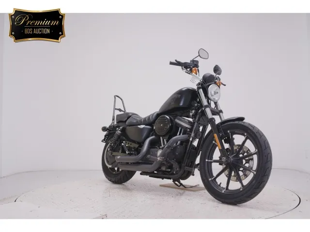 Harley-Davidson XL883N 2016, matt black, фото 3
