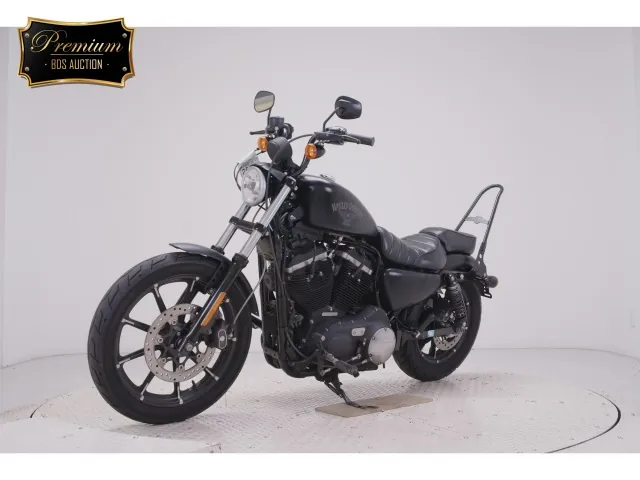 Harley-Davidson XL883N 2016, matt black, фото 4